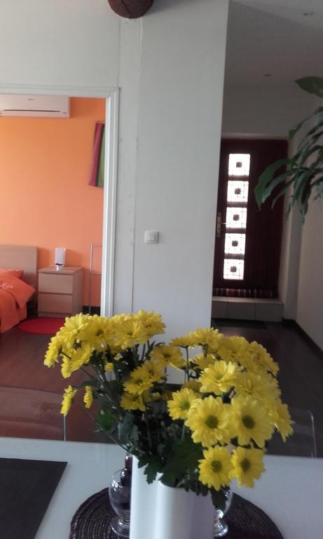 Appartement La Mediterranee Vue Sur Mer Plein Soleil 3 Climatisations Reversibles Port Vendres Eksteriør billede